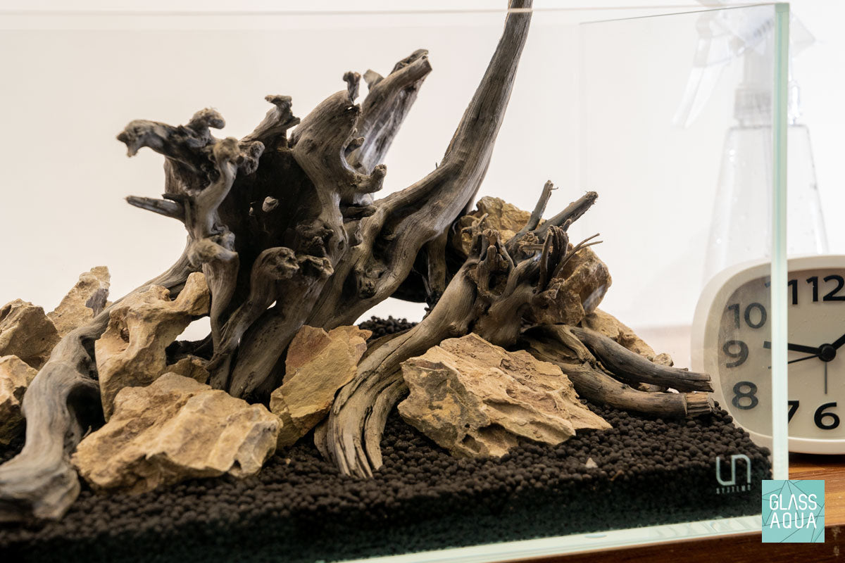 Quick Scape 114 | Custom Aquascape Layout for Planted Aquarium Tank