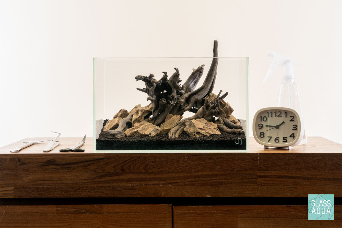Quick Scape 114 | Custom Aquascape Layout for Planted Aquarium Tank