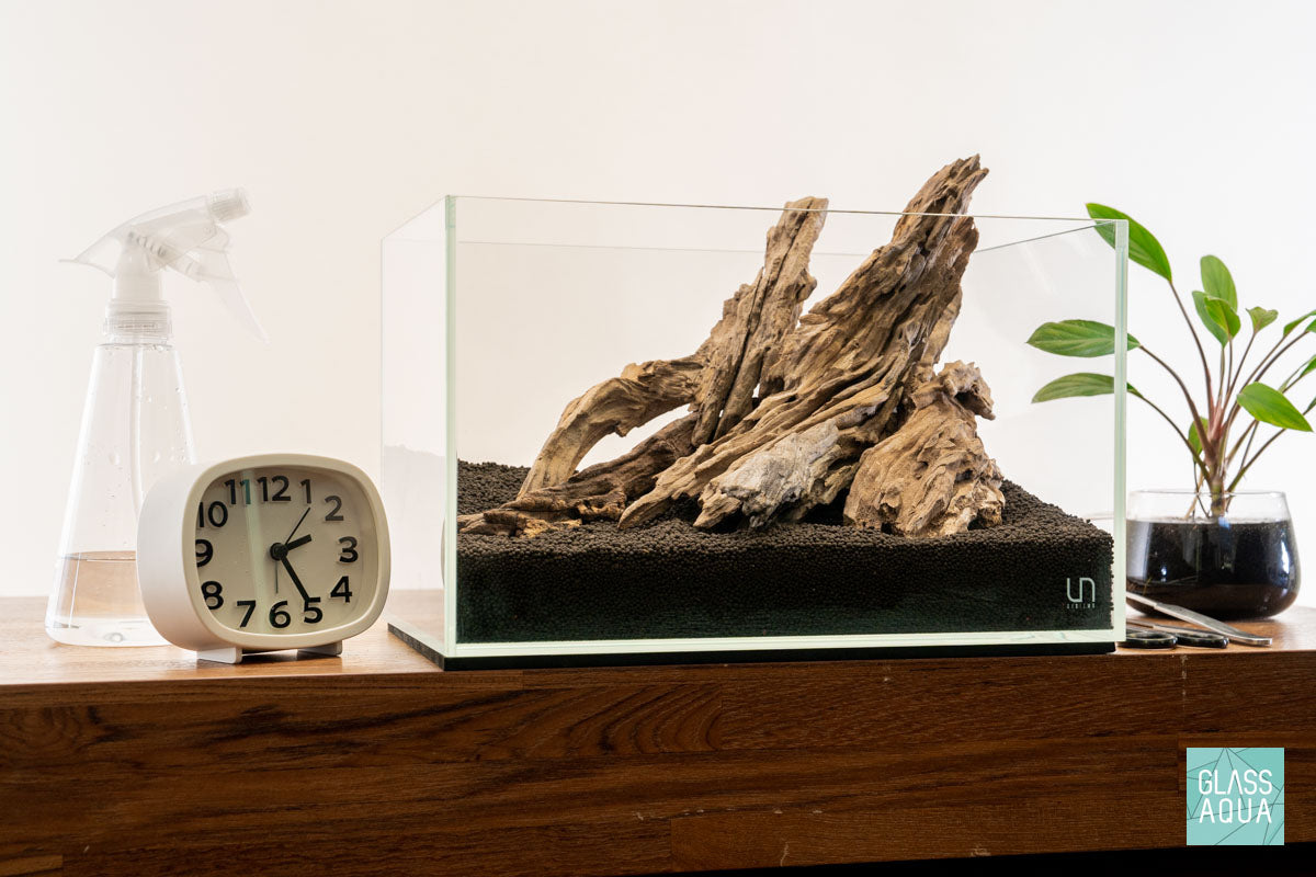 Quick Scape 115 | Custom Aquascape Layout for Planted Aquarium Tank