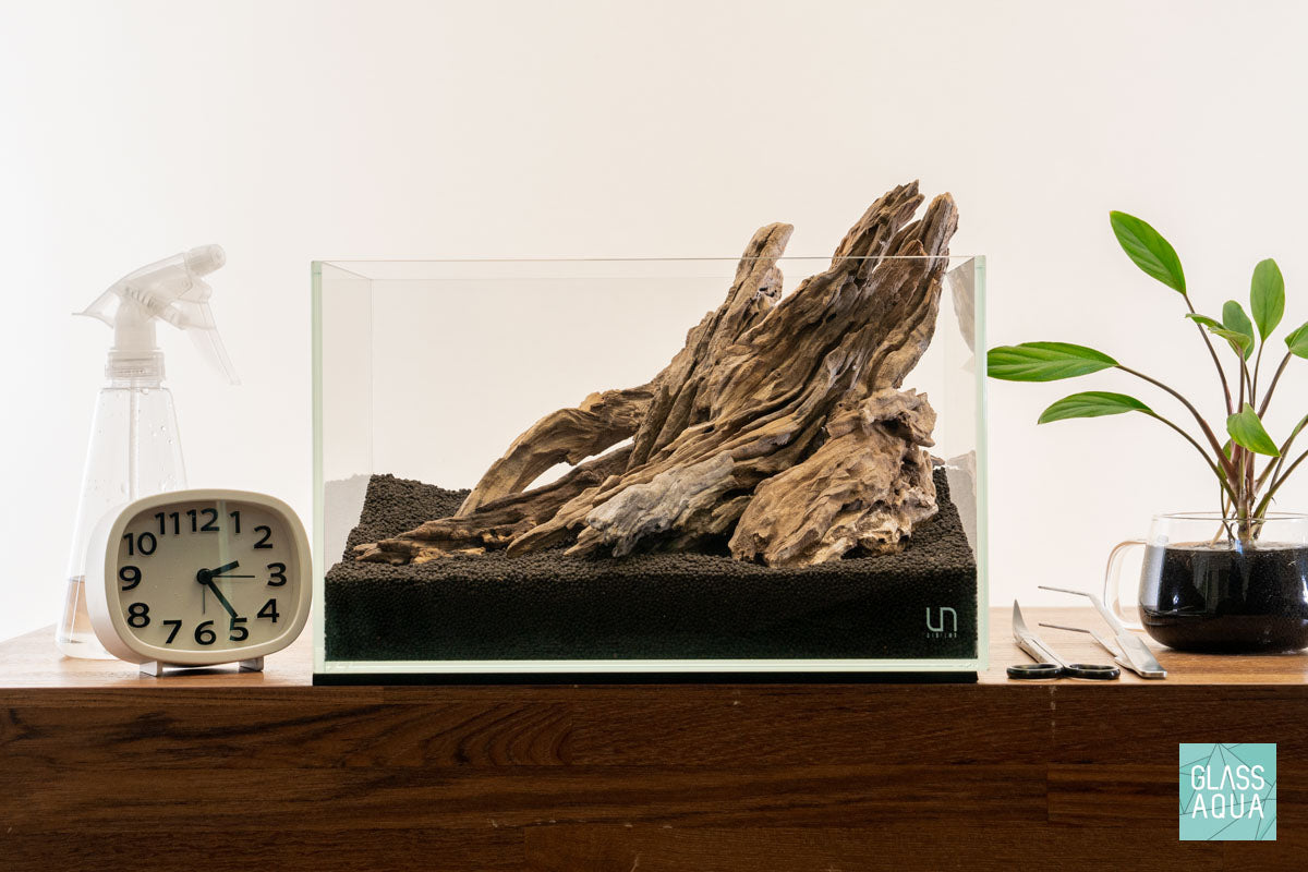 Quick Scape 115 | Custom Aquascape Layout for Planted Aquarium Tank
