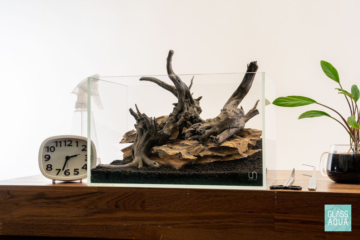Quick Scape 116 | Custom Aquascape Layout for Planted Aquarium Tank