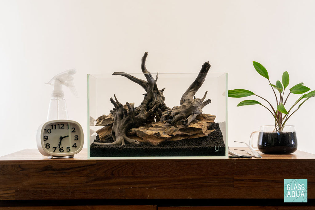 Quick Scape 116 | Custom Aquascape Layout for Planted Aquarium Tank