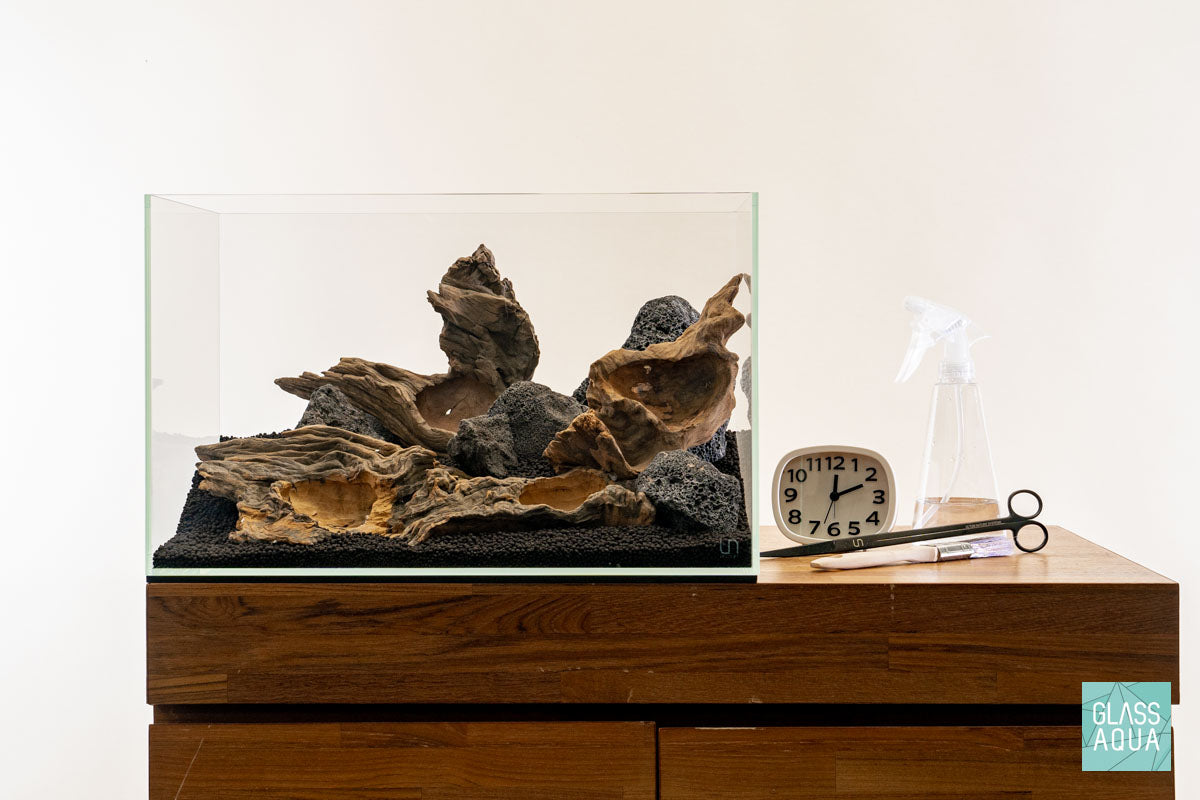 Quick Scape 143 | Custom Aquascape Layout for Planted Aquarium Tank