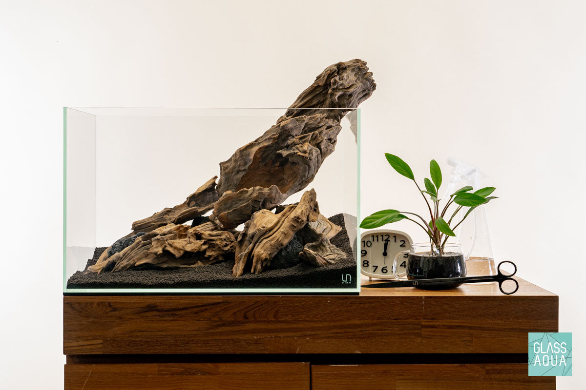 Quick Scape 144 | Custom Aquascape Layout for Planted Aquarium Tank