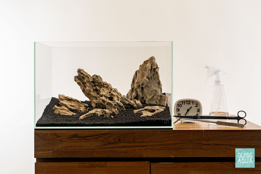 Quick Scape 145 | Custom Aquascape Layout for Planted Aquarium Tank