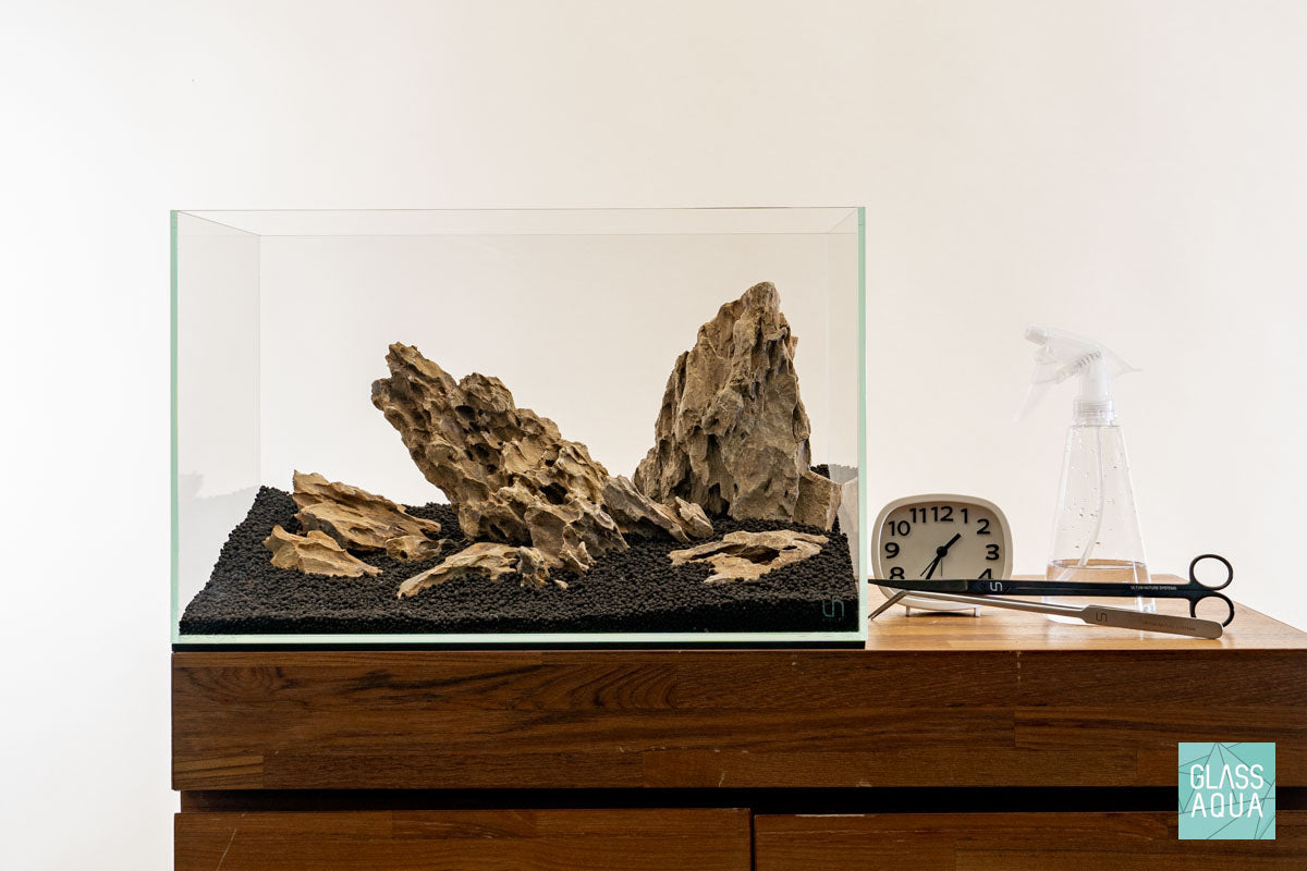 Quick Scape 145 | Custom Aquascape Layout for Planted Aquarium Tank