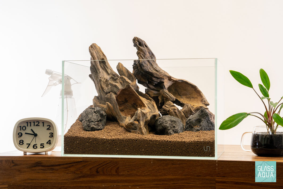 Quick Scape 121 | Custom Aquascape Layout for Planted Aquarium Tank