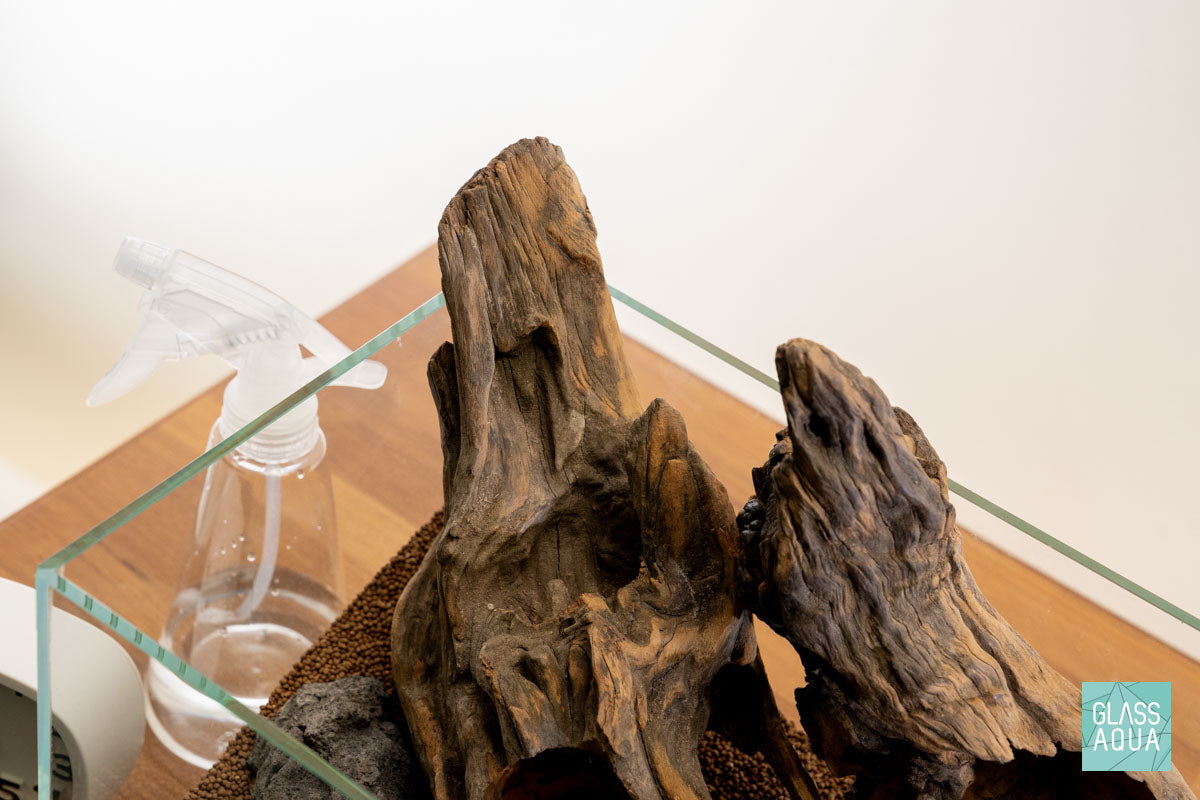 Quick Scape 121 | Custom Aquascape Layout for Planted Aquarium Tank
