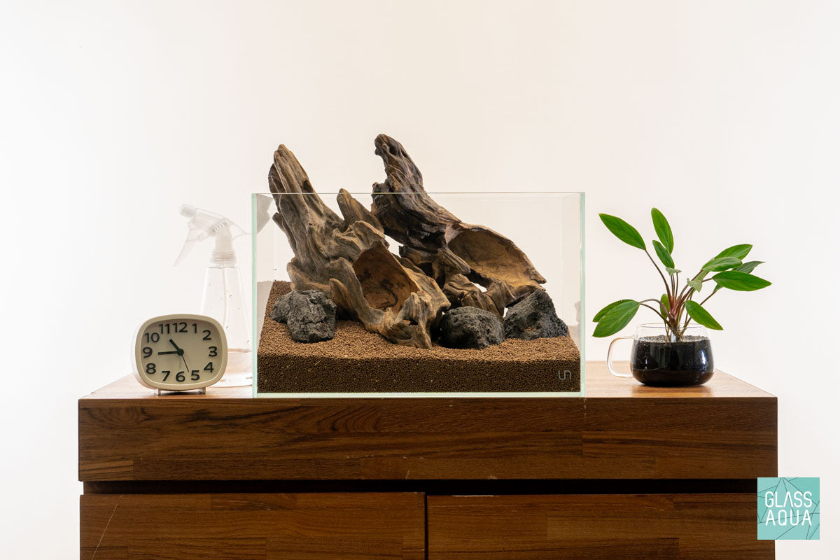 Quick Scape 121 | Custom Aquascape Layout for Planted Aquarium Tank