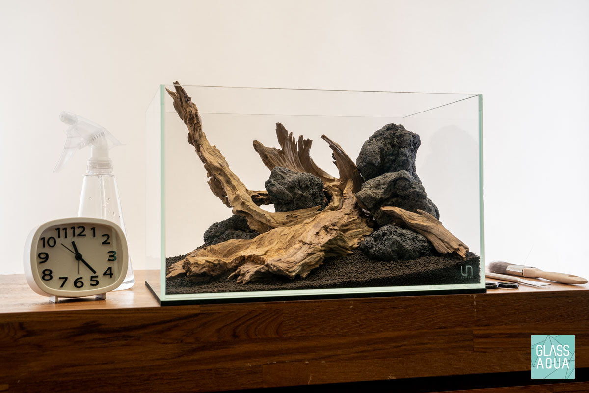 Quick Scape 123 | Custom Aquascape Layout for Planted Aquarium Tank