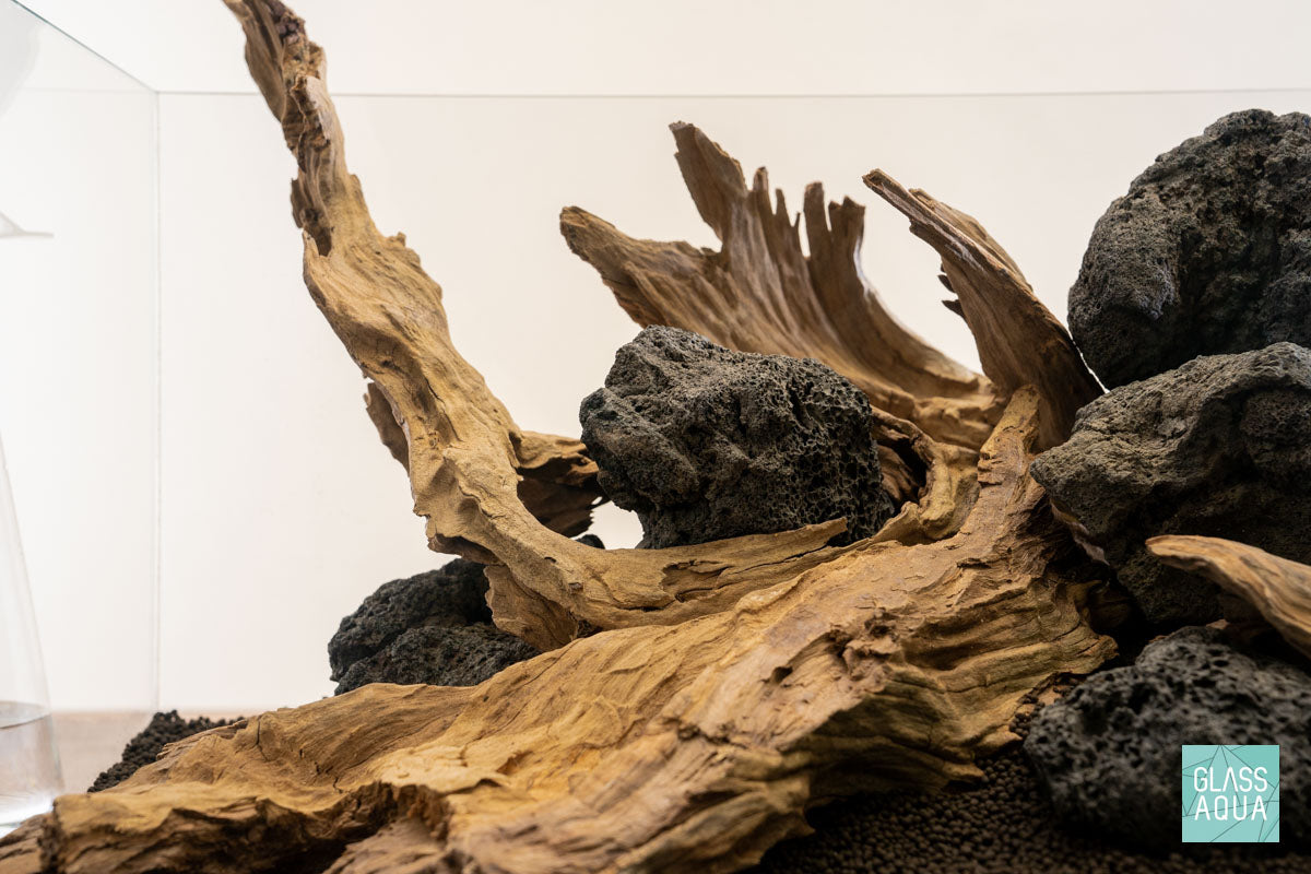 Quick Scape 123 | Custom Aquascape Layout for Planted Aquarium Tank
