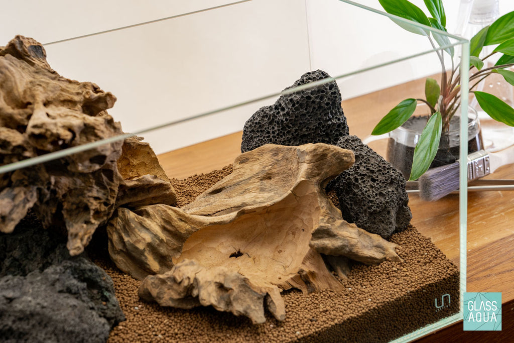 Quick Scape 124 | Custom Aquascape Layout for Planted Aquarium Tank