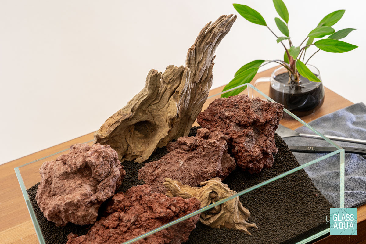 Quick Scape 140 | Custom Aquascape Layout for Planted Aquarium Tank
