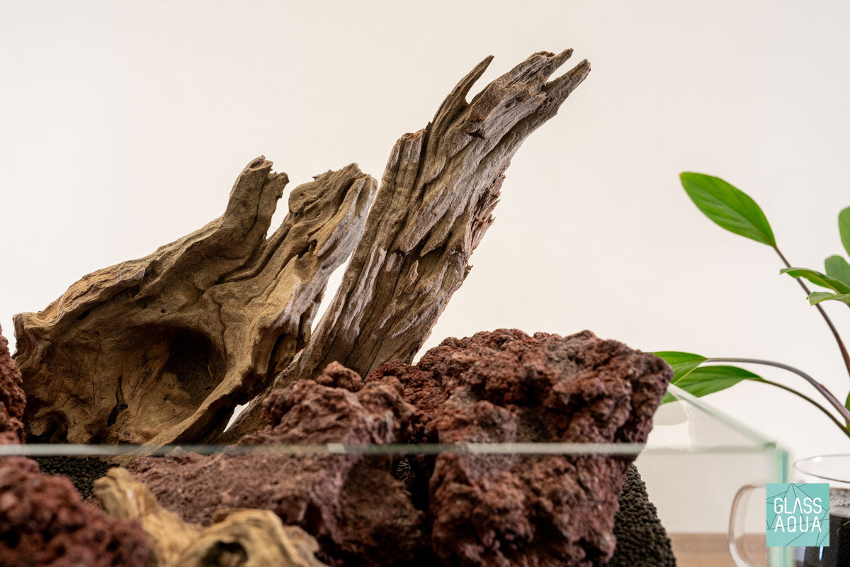 Quick Scape 140 | Custom Aquascape Layout for Planted Aquarium Tank