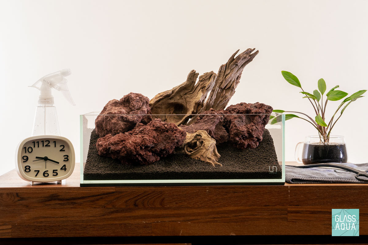 Quick Scape 140 | Custom Aquascape Layout for Planted Aquarium Tank