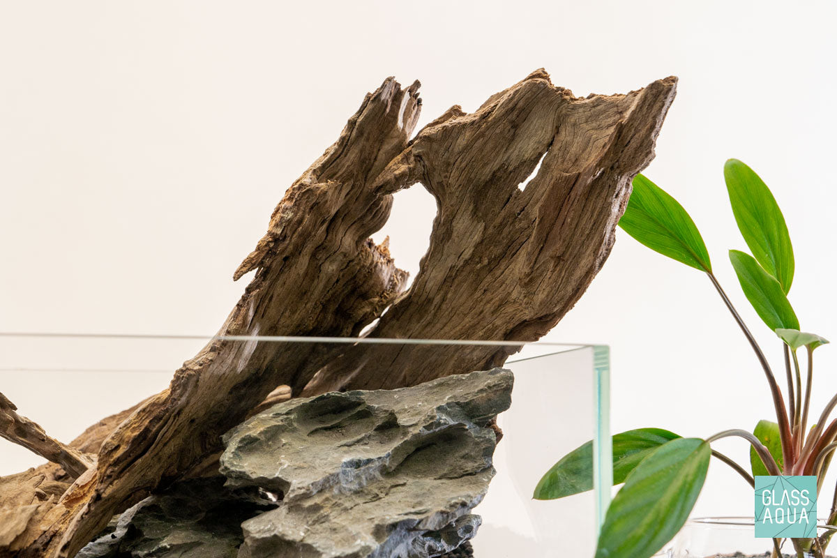 Quick Scape 132 | Custom Aquascape Layout for Planted Aquarium Tank