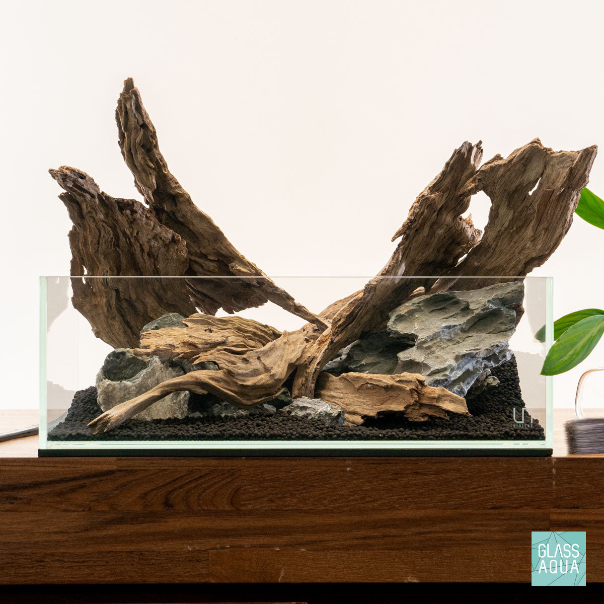 Quick Scape 132 | Custom Aquascape Layout for Planted Aquarium Tank