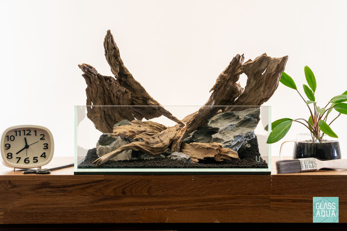 Quick Scape 132 | Custom Aquascape Layout for Planted Aquarium Tank