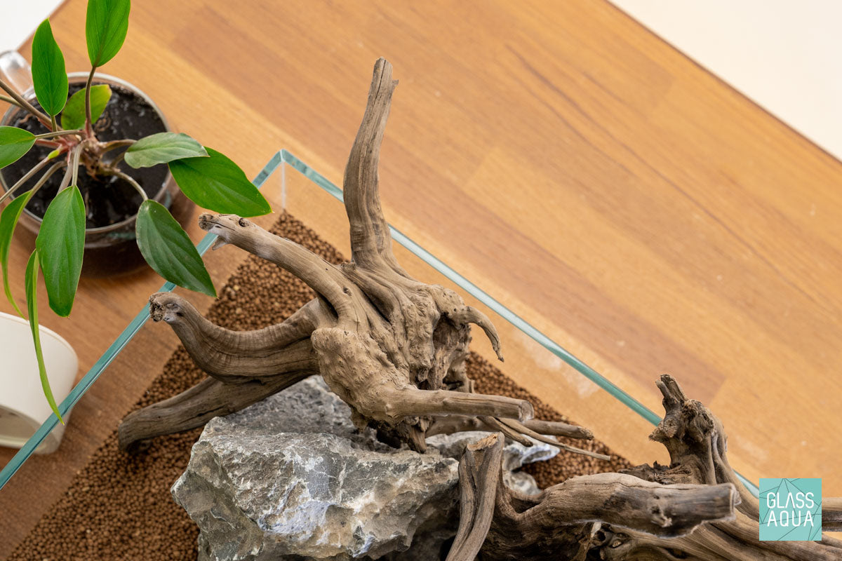 Quick Scape 135 | Custom Aquascape Layout for Planted Aquarium Tank