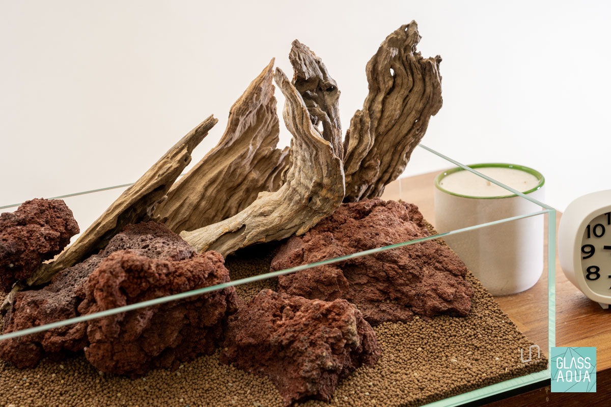 Quick Scape 138 | Custom Aquascape Layout for Planted Aquarium Tank