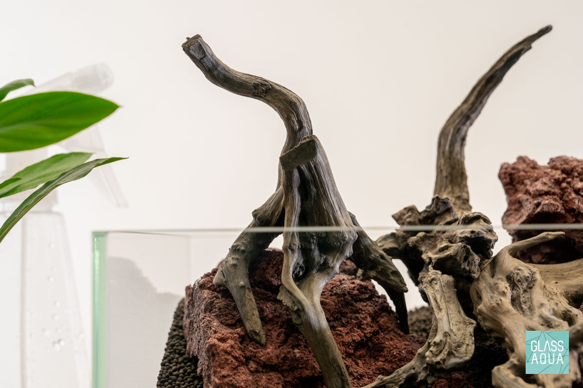 Quick Scape 139 | Custom Aquascape Layout for Planted Aquarium Tank