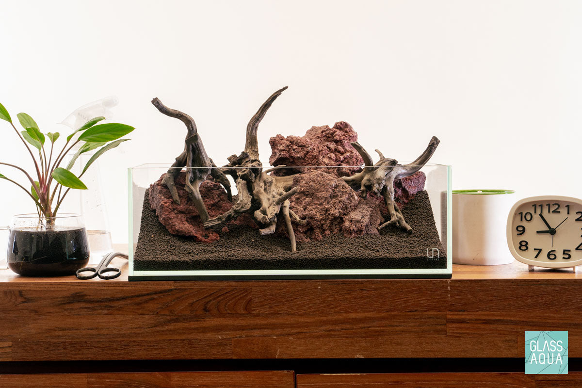 Quick Scape 139 | Custom Aquascape Layout for Planted Aquarium Tank