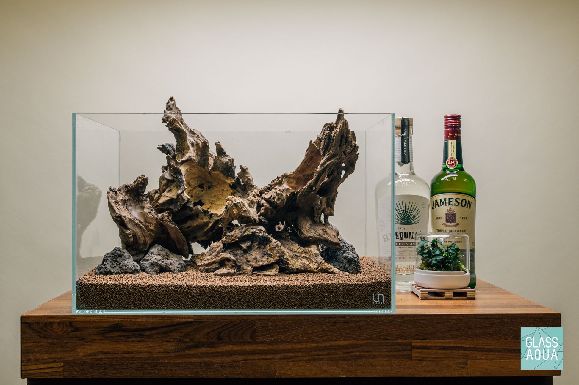 Quick Scape 095 | Custom Aquascape Layout for Planted Aquarium Tank