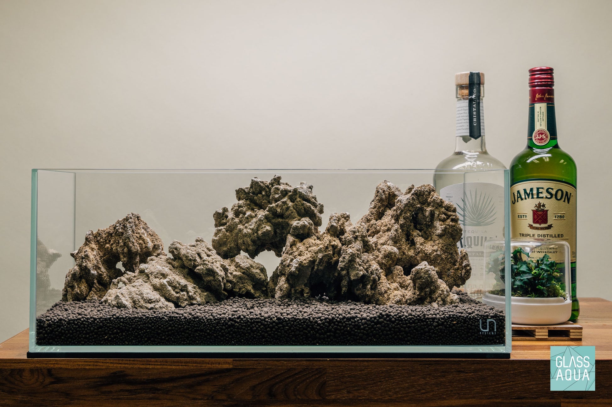 Quick Scape 099 | Custom Aquascape Layout for Planted Aquarium Tank