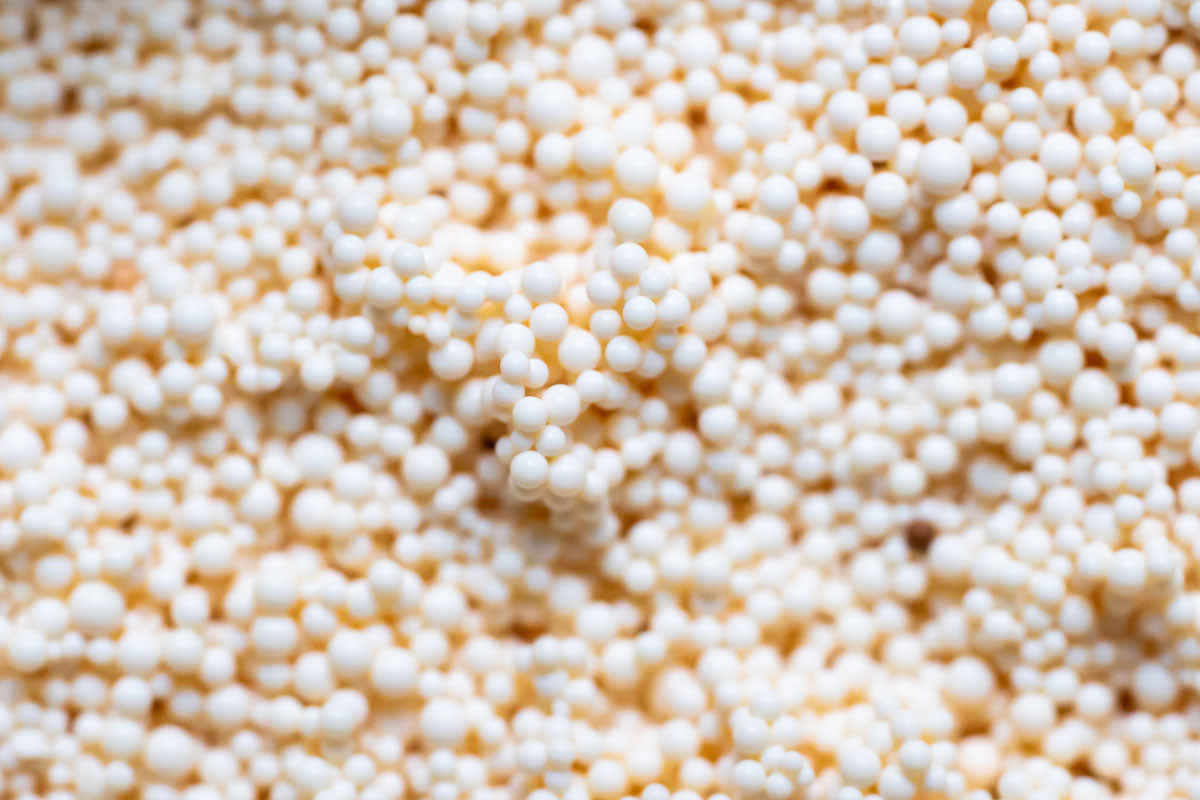 Shop SL Aqua Exchange Resin Filtration - Glass Aqua