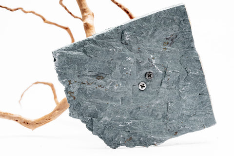 Spider Wood on Slate Stone | Shop Planted Tank Hardscape - Glass Aqua