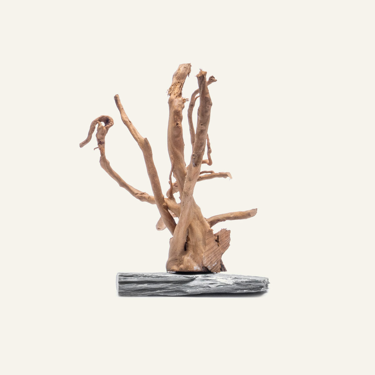 Spider Wood on Slate Stone | Shop Planted Tank Hardscape - Glass Aqua