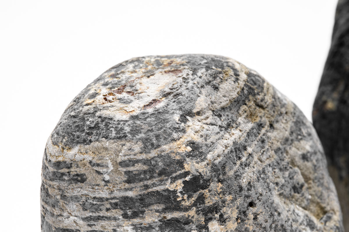 Striped River Stone Aquascaping Rock | Shop Planted Tank Hardscape - Glass Aqua