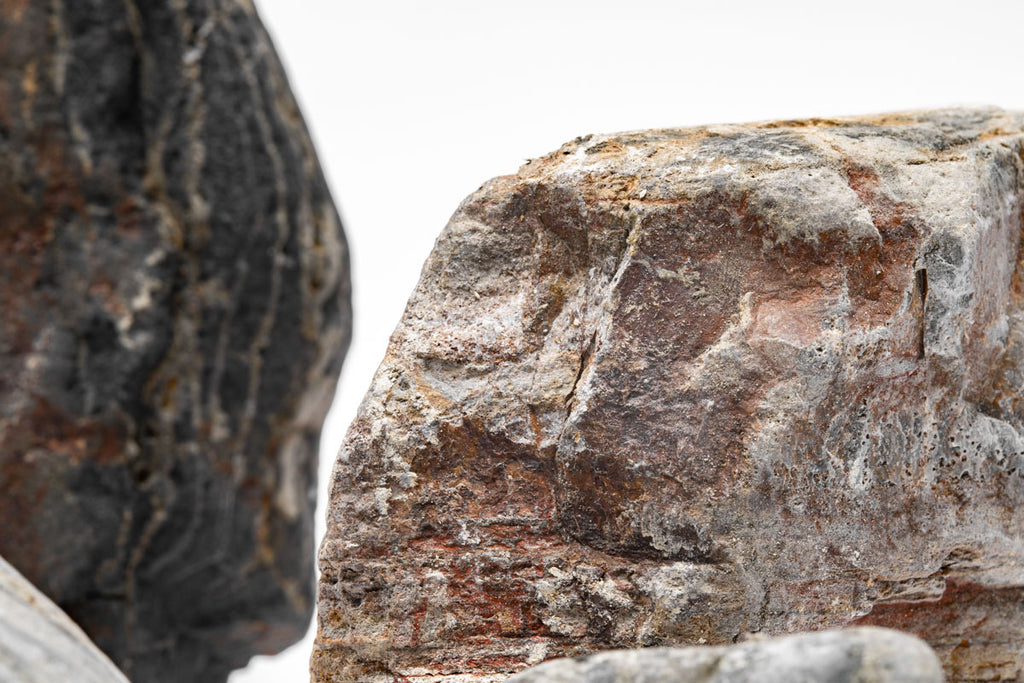 Striped River Stone Aquascaping Rock | Shop Planted Tank Hardscape - Glass Aqua