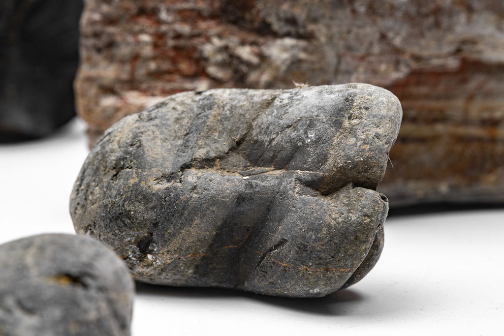 Striped River Stone Aquascaping Rock | Shop Planted Tank Hardscape - Glass Aqua