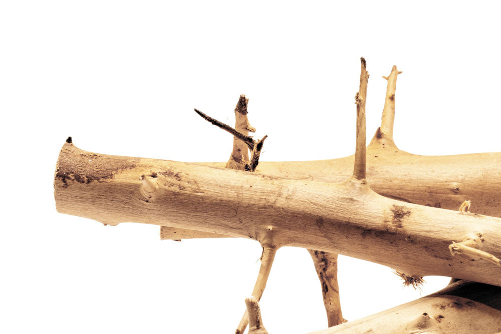 Thorn Wood Planted Aquarium Hardscape Driftwood