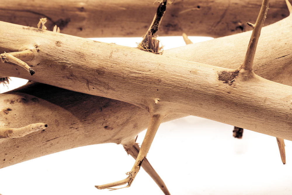 Thorn Wood Planted Aquarium Hardscape Driftwood