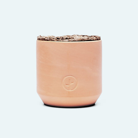 Terracotta Plant Kit | Hydroponic Growing Kit, Live Floral Poppies