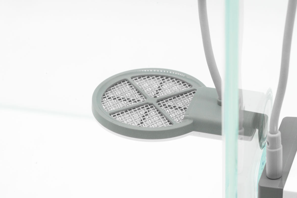 Shop Twinstar Algae Inhibitor Tools - Glass Aqua