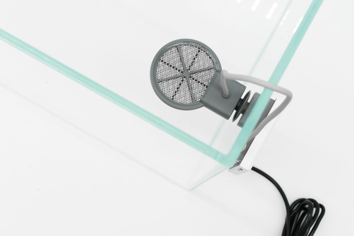 Shop Twinstar Algae Inhibitor Tools - Glass Aqua