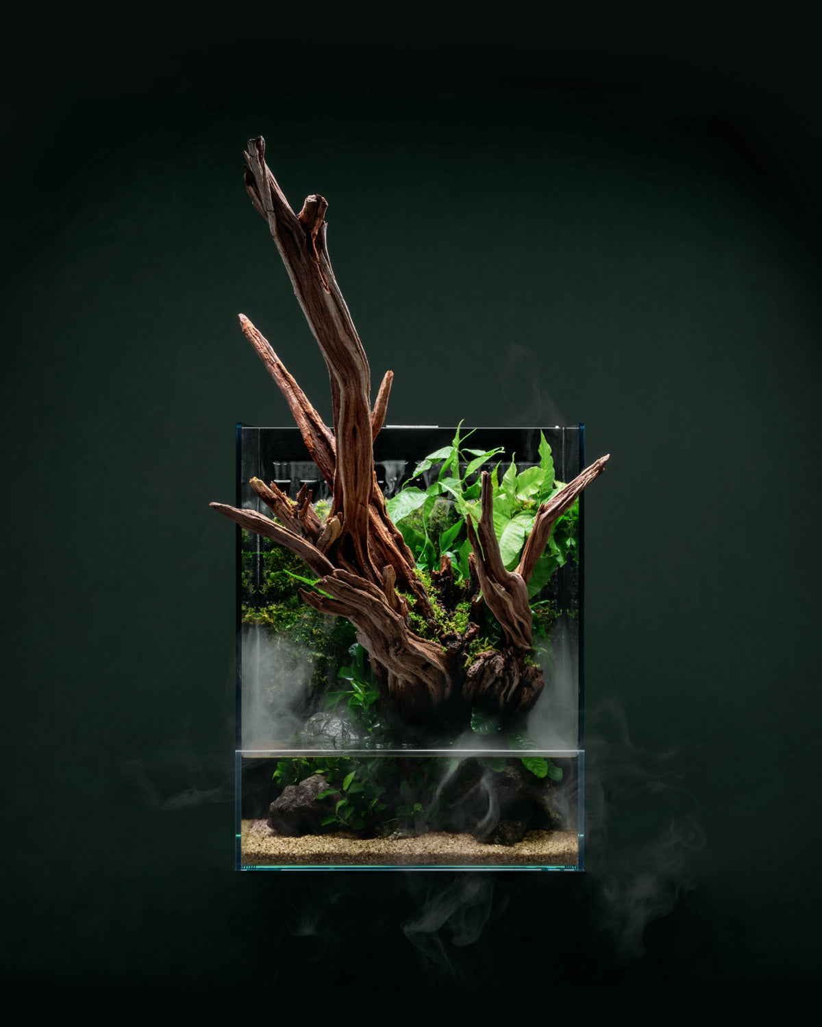 UNS Foresta Line Moss Thread - Glass Aqua