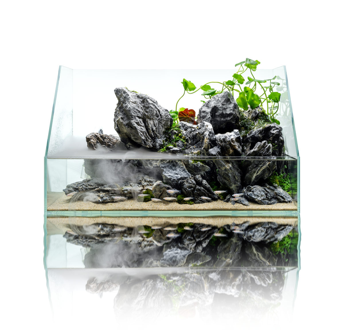 UNS Paludarium Tank System for Terrarium, Vivarium, Aquarium, Planted Tank