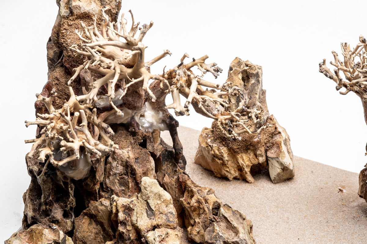 UNS Strata Pro Type 15 | WYSIWYG Planted Tank Hardscape - Glass Aqua