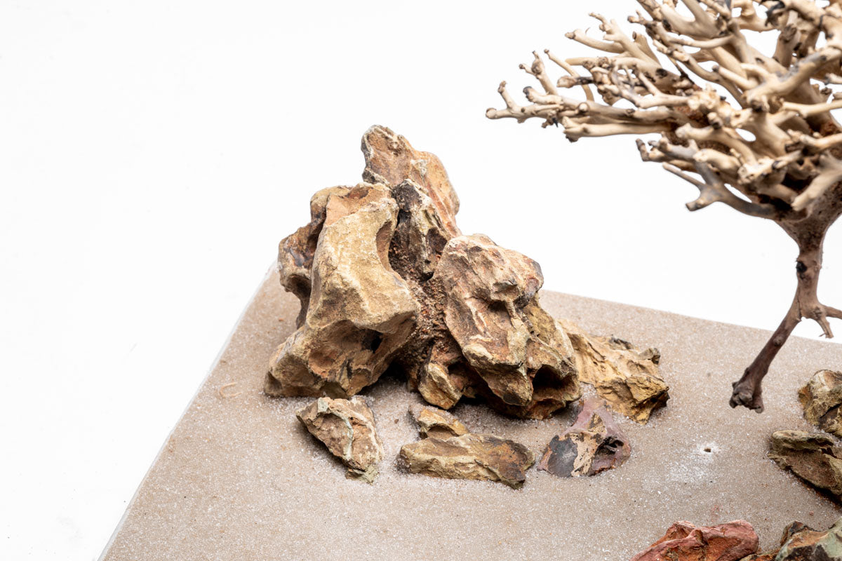 UNS Strata Pro Type 16 | WYSIWYG Planted Tank Hardscape - Glass Aqua