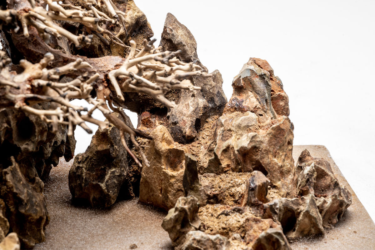 UNS Strata Pro Type 17 | WYSIWYG Planted Tank Hardscape - Glass Aqua
