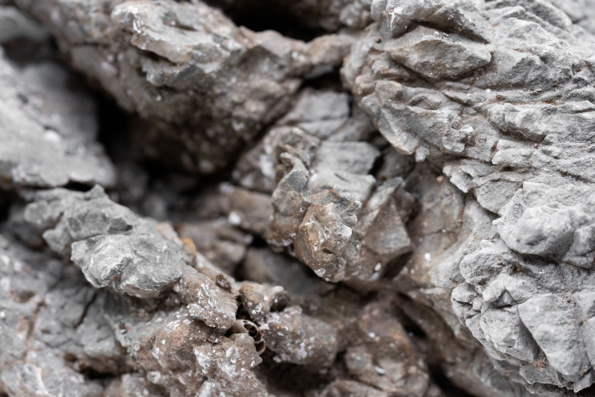 Shop Wolf Stone Hardscape - Glass Aqua
