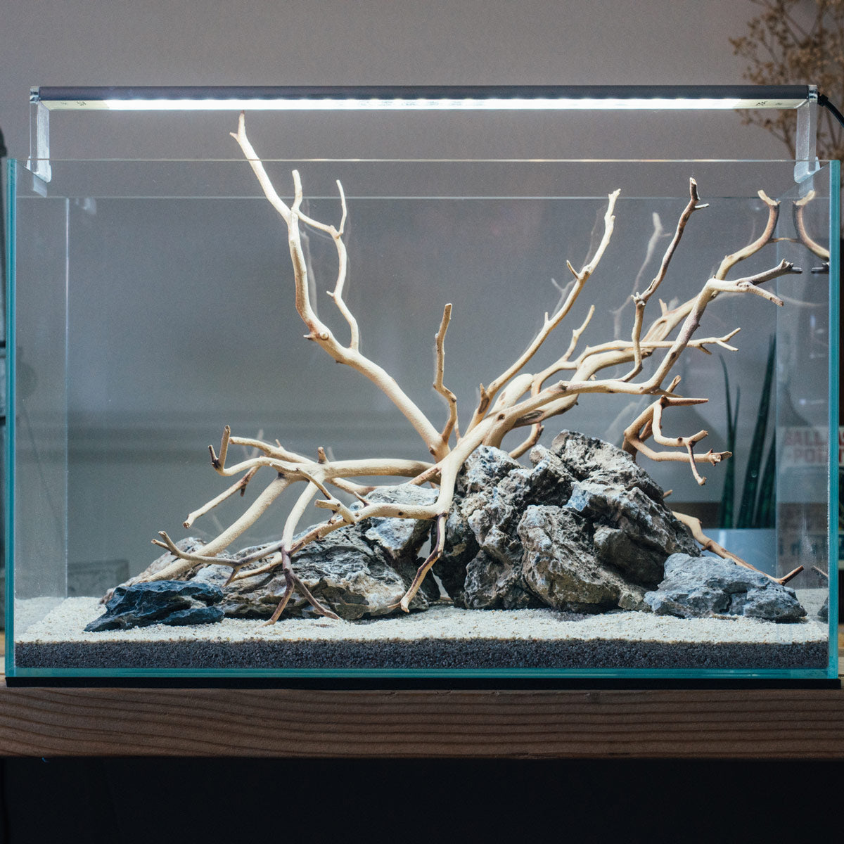 Quick Scape 002 - Glass Aqua